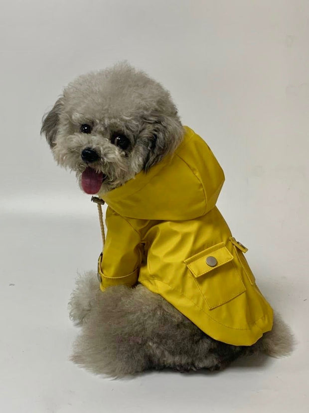 cute Dog rain jacket