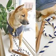 Nautical | Leather and Rope Leash - Wag Swag Brand Inc