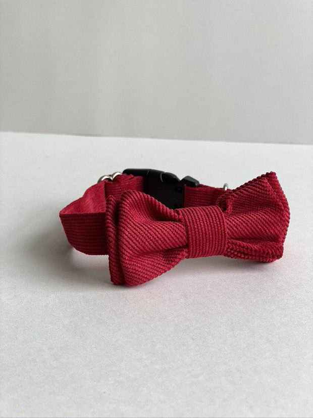 dog bow tie collar red