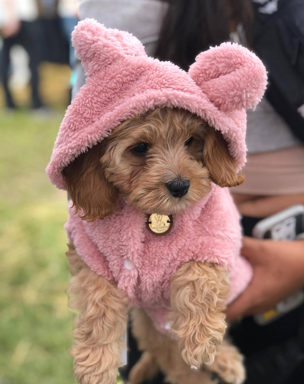Pink online dog teddy