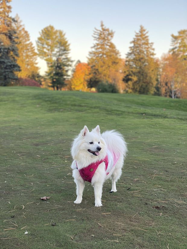 puffer jacket