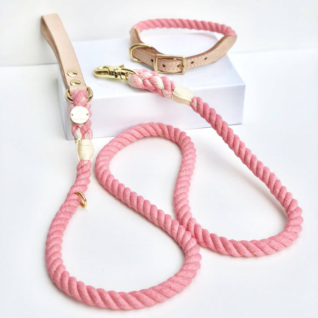 Pink Rope Dog Lead Rope Dog Leash Leather Handle Pink– Wag Swag Brand Inc