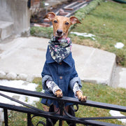 The St. Clair Bandana - Wag Swag Brand Inc