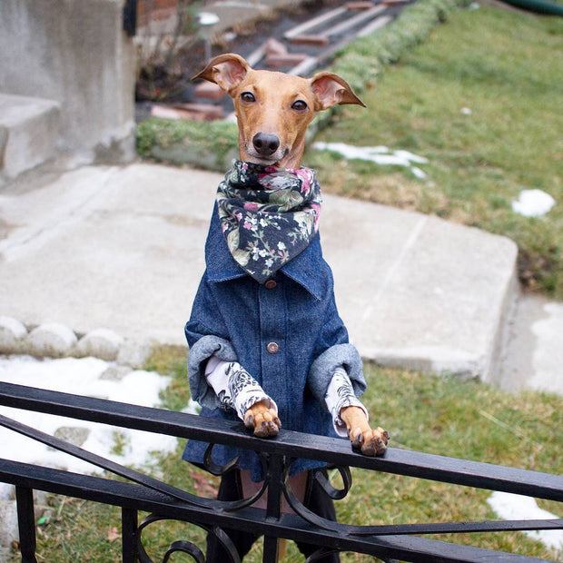 The St. Clair Bandana - Wag Swag Brand Inc