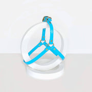 Harness | Baby Blue
