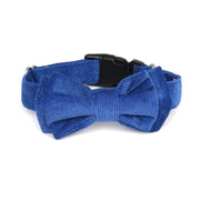 Wag Swag Brand | Bow Tie Dog Collar | Blue Corduroy
