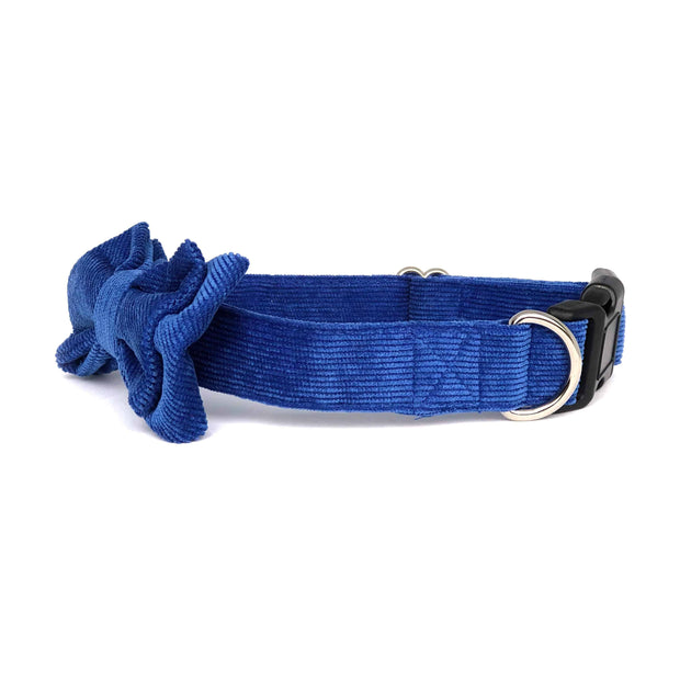 Wag Swag Brand | Bow Tie Dog Collar | Blue Corduroy
