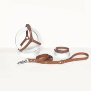 Harness | Brown Latte