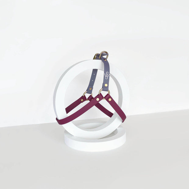 Harness | Burgundy + Grey