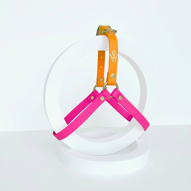 Harness | Pink and Orange