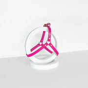 Harness | Fuchsia Pink