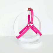 Harness | Fuchsia Pink