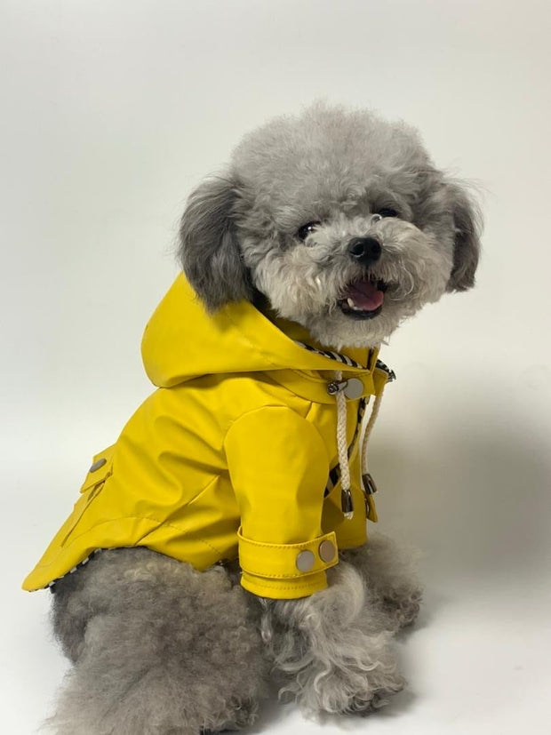 Yellow dog rain jacket paddington