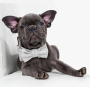Wag Swag Brand | Bow Tie Dog Collar | Grey Wool