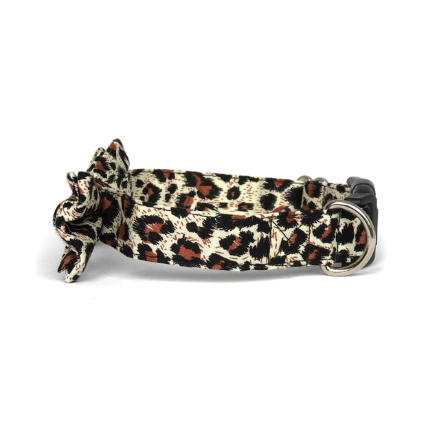 Wag Swag Brand | Bow Tie Dog Collar | Leopard