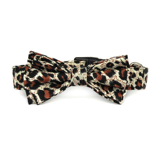 Wag Swag Brand | Bow Tie Dog Collar | Leopard
