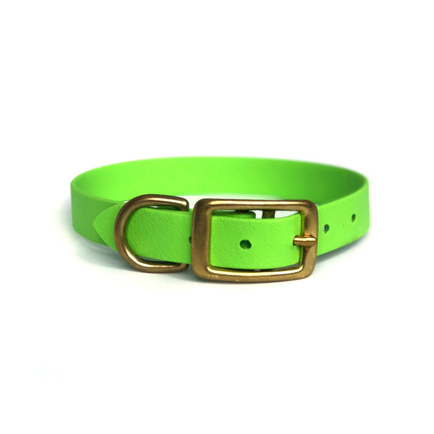 Wag Swag Brand | Vegan Leather Dog Collar | Waterproof | Brass Hardware | Lime Green | Made in Canada Toronto