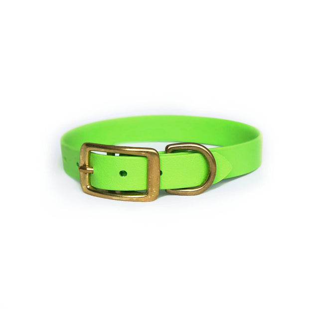 Wag Swag Brand | Vegan Leather Dog Collar | Waterproof | Brass Hardware | Lime Green | Made in Canada Toronto