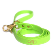 stylish dog leash lime green
