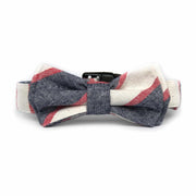 Wag Swag Brand | Bow Tie Dog Collar | Nautical