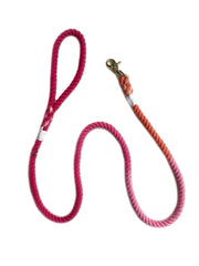 Pink Orange Ombre | Cotton Rope Leash - Wag Swag Brand Inc