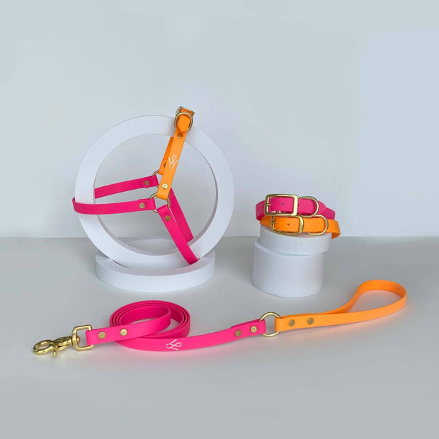 Harness | Pink and Orange