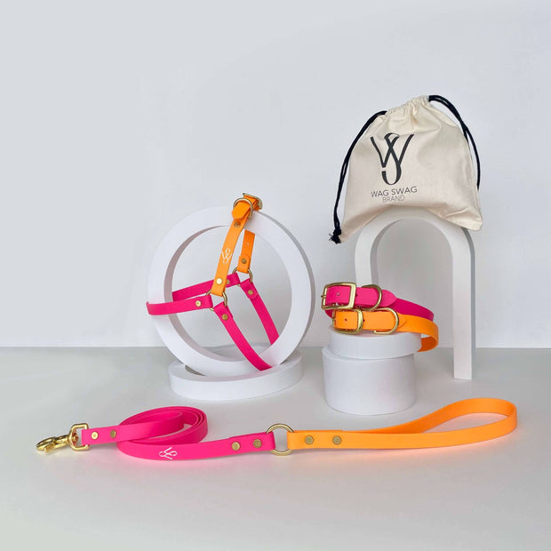 Harness | Pink and Orange