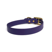 Wag Swag Brand | Vegan Leather Dog Collar | Waterproof | Brass Hardware | purple | Made in Canada Toronto