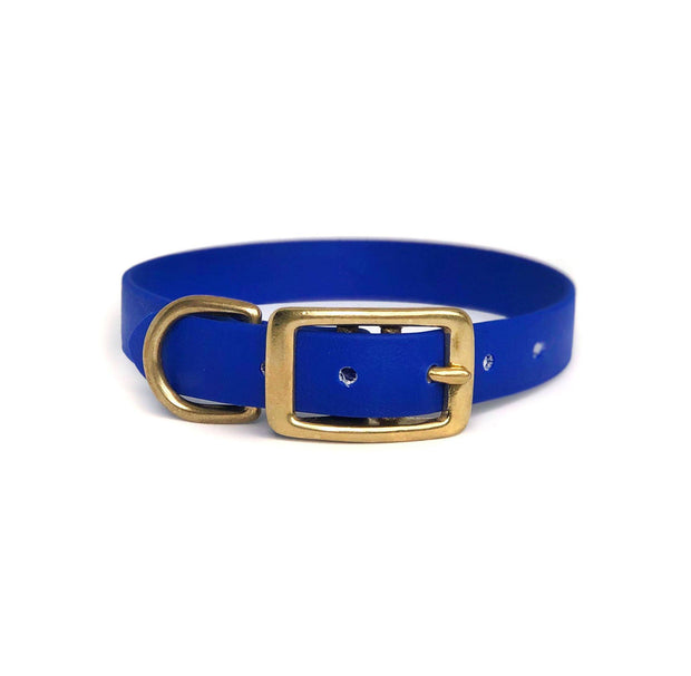 Wag Swag Brand | Vegan Leather Dog Collar | Waterproof | Brass Hardware | Royal Blue | Made in Canada Toronto