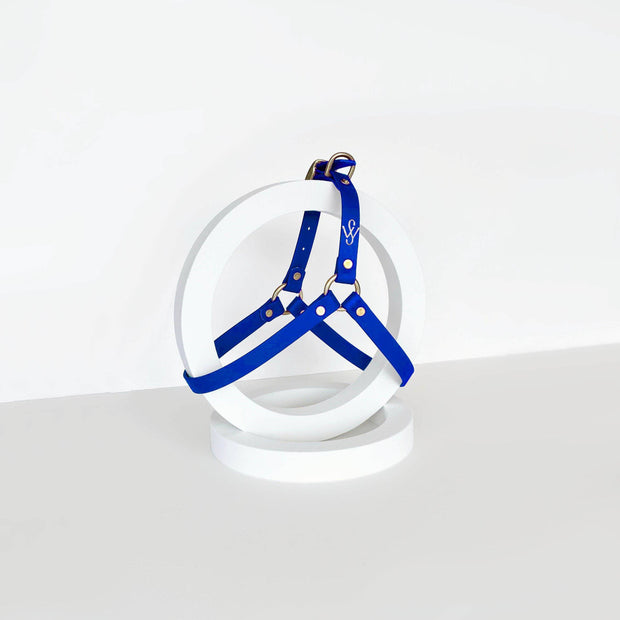 Harness | Royal Blue