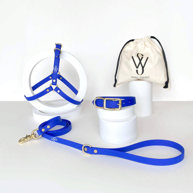 Harness | Royal Blue