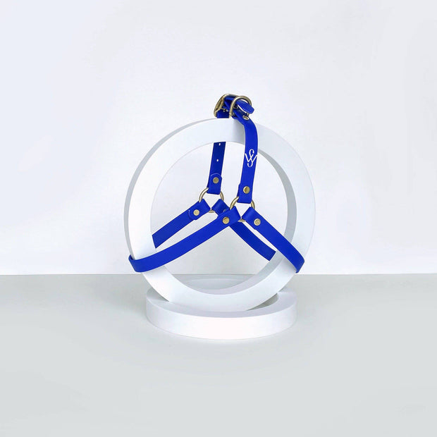 Harness | Royal Blue