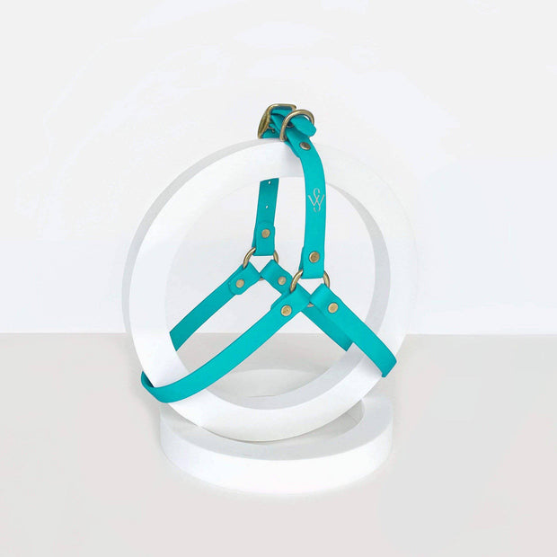 Harness | Teal