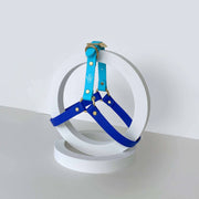 Harness | Two Tone Blue